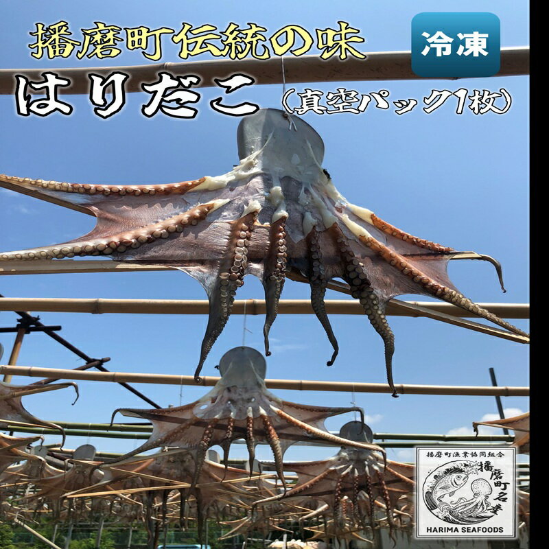 【ふるさと納税】播磨町産 はりだこ(ほしだこ)1匹 播磨町産 活け〆はりだこ 1匹 セット タコ 海鮮 魚介類 瀬戸内 兵庫県 播磨町