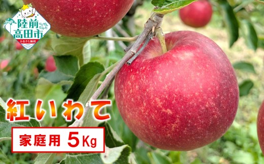 【先行予約】 家庭用 あま～くてもぎたての米崎りんご 5kg 品種：紅いわて 【 岩手県オリジナル品種 数量限定 米崎りんご 訳あり 果物 フルーツ 】 RT3041-05