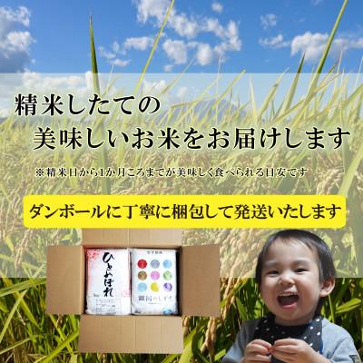 ふるさと納税 盛岡市 【毎月定期便】無洗米 2種食べ比べ 各10kg全6回 |  | 03