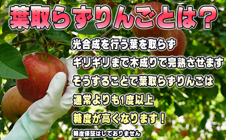 りんごサンつがる贈答用葉取らず特選青森県産りんご【約5kg】