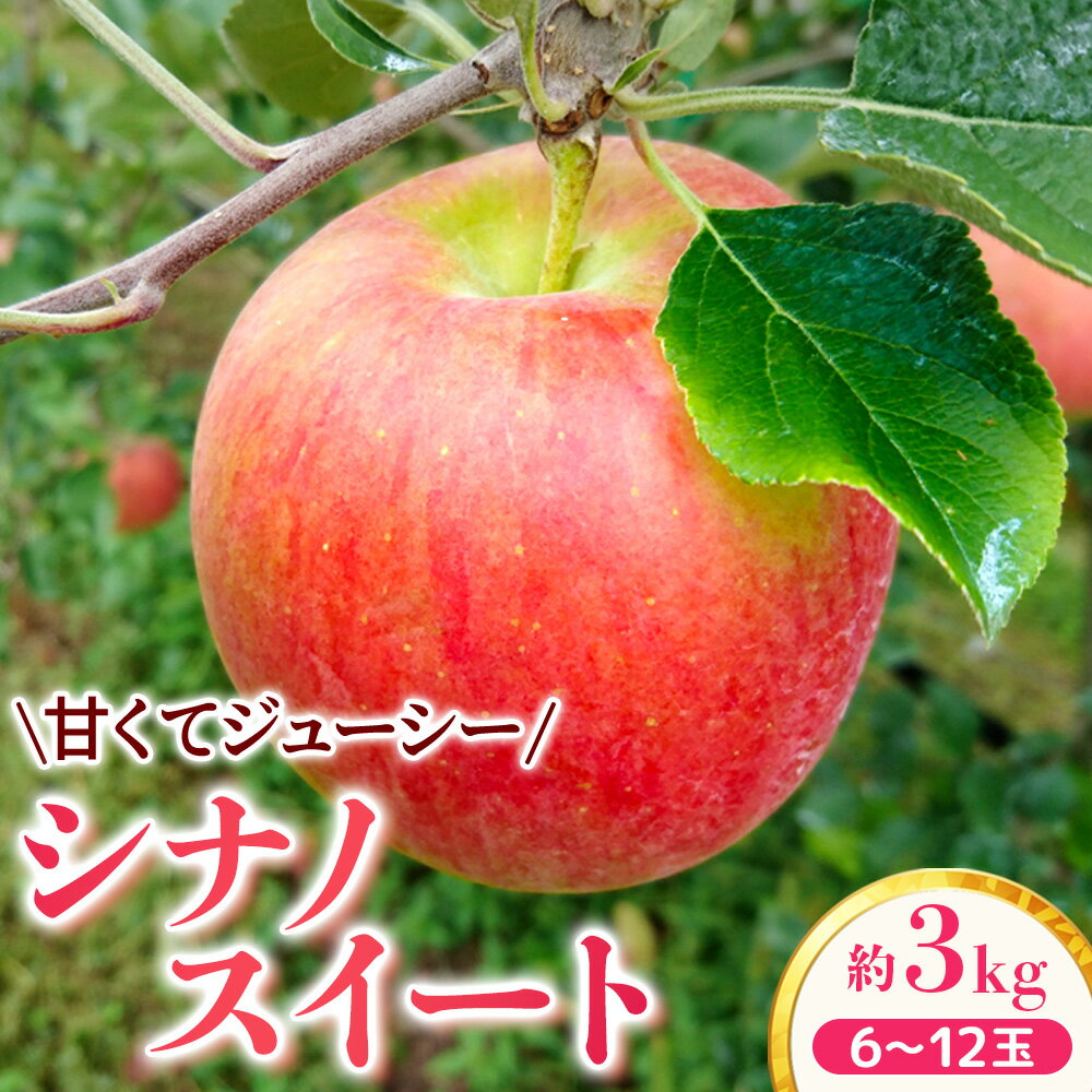 【ふるさと納税】【家庭用】りんご シナノスイート 約3kg【2026年4月下旬まで順次発送】スマートフレッシュ｜ 林檎｜リンゴ｜6～12玉｜フルーツ｜果物｜長野県｜南信州｜豊丘村