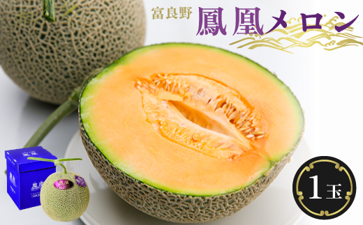 
            富良野鳳凰メロン　1玉　1.8～2kg(2Lサイズ)_メロン めろん 富良野メロン 富良野めろん 北海道 富良野市 果物 フルーツ くだもの ふるーつ 青果 果実 甘い 旬 専門店 希少 品種 ギフト 贈答 鳳凰 糖度 定番 プレゼント 【1403745】
          