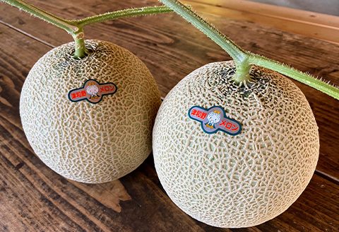 【発送月固定定期便】フルーツ定期便A 旬の美味しい果物を毎月1種全4回【配送不可地域：離島】