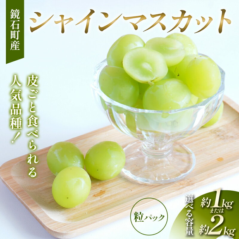 【ふるさと納税】 ＼選べる容量／ 【粒パック】皮ごと食べられる人気品種！鏡石町産 シャインマスカット 約1kg 約2kg 家庭用 マスカット ぶどう ブドウ 葡萄 デザート フルーツ 果物 くだもの 果実 食品 F6Q-486var