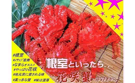 D-59016【12/21まで年内配送】 【北海道根室産】花咲ガニ4～6尾(計2.8kg以上)