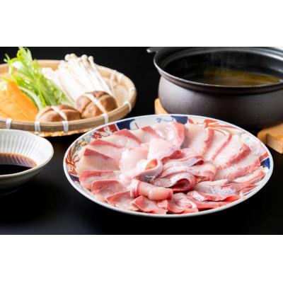 ふるさと納税 富山県 ひみ寒ぶりしゃぶしゃぶセット