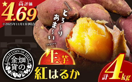畑の金貨 生芋 紅はるか 4kg K181-006 やきいも 芋 いも イモ さつまいも さつま芋 サツマイモ 野菜 焼芋 蜜芋 甘芋 熟成 スイートポテト スイーツ デザート 大学芋 天ぷら 料理 レンジ おやつ スイーツ 人気 ランキング おすすめ オススメ プレゼント ギフト しっとり 滑らか 畑の金貨 甘いも販売所 鹿児島 薩摩 加治木産業