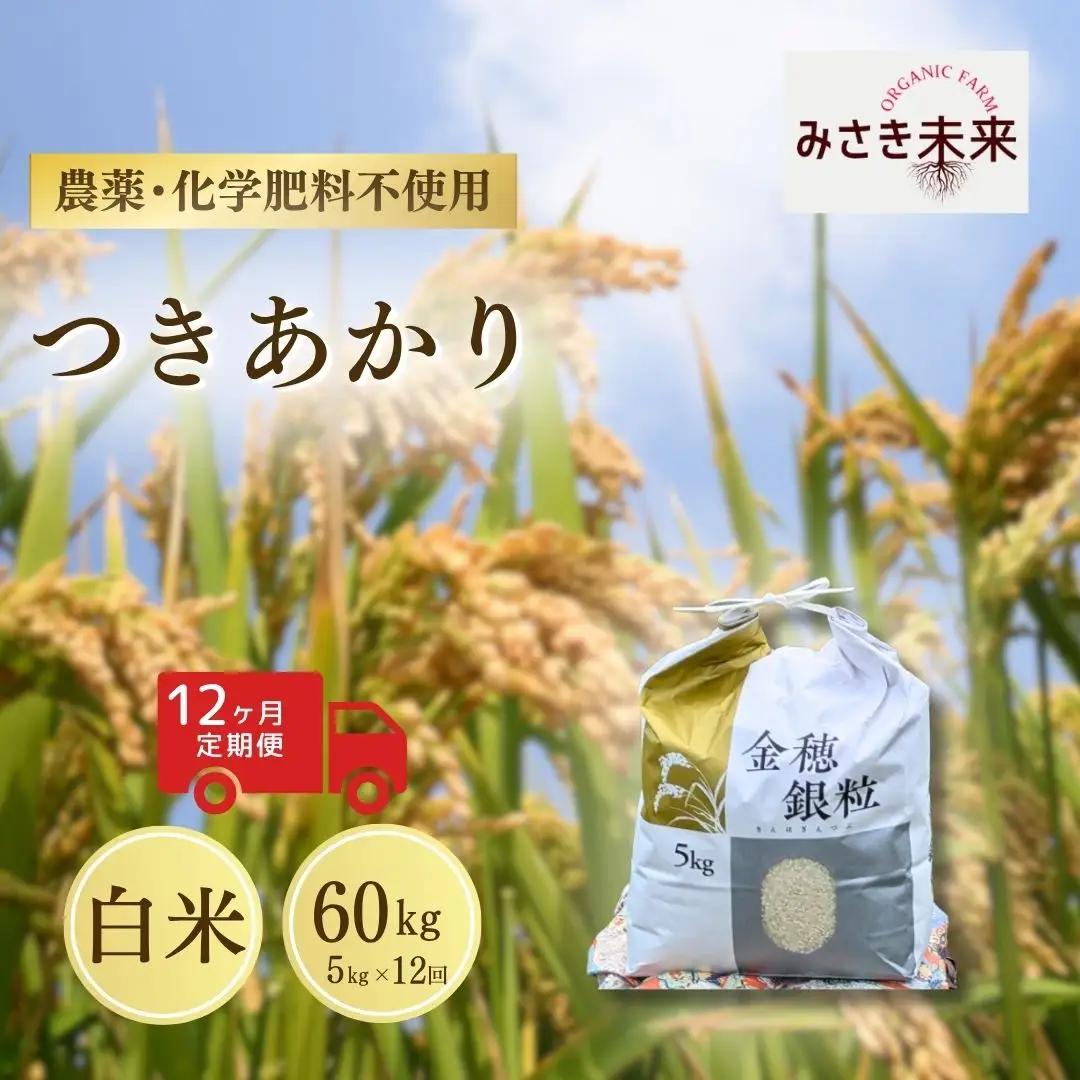 【先行予約】【12か月定期便】つきあかり 白米 60kg (5kg×12回) 令和8年産 | 無農薬 農薬不使用 化学肥料不使用 精米 お米 米 こめ コメ 福島産 福島県産 南相馬市 みさき未来 つきあかり