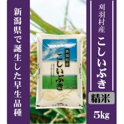 【ふるさと納税】【新潟県早生品種】【精米】刈羽村産こしいぶき 5kg【1576316】
