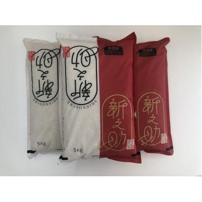 ふるさと納税 柏崎市 柏崎産　新之助　無洗米　15kg(5kg×3袋)