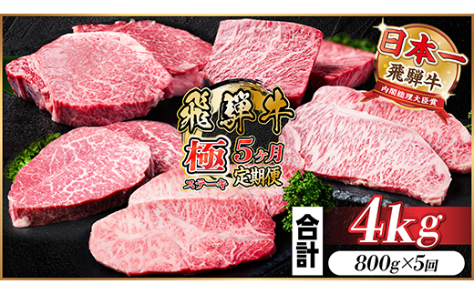 【毎月定期便】飛騨牛 極ステーキ定期便　計約4kg【冷蔵便】全5回　A4～A5等級　黒毛和牛【配送不可地域：離島】