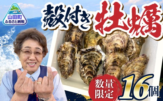 【先行予約】  牡蠣 殻付き 16個 ｜ 牡蠣むき身 小分け 牡蛎 むき牡蠣 カキ オイスター 濃厚 山田町 三陸山田 岩手県 岩手 木村商店 小分け かき  海鮮 魚介 貝類 海の幸 家庭用 BBQ  ｜ KM014-16s