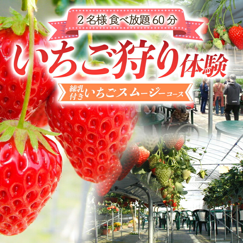 いちご狩り体験2名様 食べ放題1時間 練乳付き いちごスムージーコース 【現地体験型】 利用券 チケット 観光 旅行 イチゴ 苺 F4H-0033
