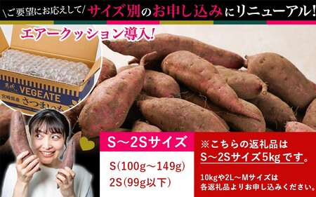 島津甘藷　熟成紅はるか 5kg(S～2S)_LD-A701-m_(都城市) 幻のサツマイモ/幻の品種『紅はるか』 5kg ベジエイトの島津甘藷 