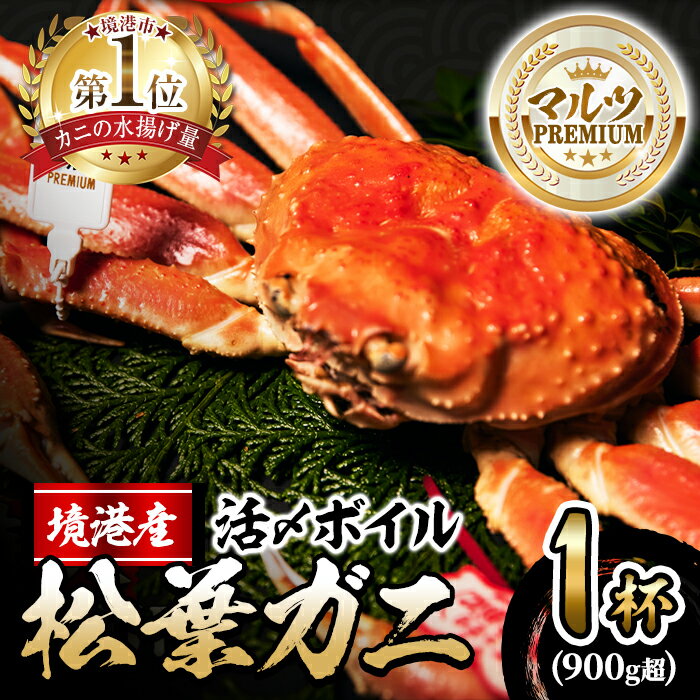 【ふるさと納税】＜先行予約受付中！11月中旬～順次発送予定＞【マルツPREMIUM】活〆ボイル松葉蟹(900g～) タグ付き 魚介 海鮮 海の幸 カニ かに 蟹 松葉ガニ 活〆 ボイル 焼きガニ 鍋 弾力 甘み 冷蔵 コンシェルジュ 【sm-AL013】【マルツ】