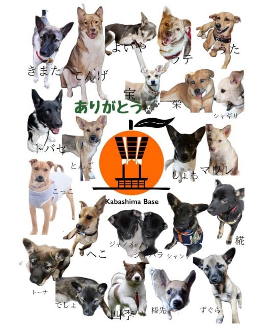 長崎漁港発！長崎近海産鮮魚お試しセット (ミニ) ／ 魚 魚介 鮮魚 海鮮 海産物 刺身 セット 地魚 詰め合わせ 詰合せ つめあわせ 大将農園 長崎県 長崎市 【2025年9月下旬～12月下旬迄発送