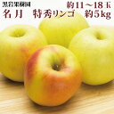 【ふるさと納税】名月 特秀りんご 約5kg（約11～18玉）《黒岩果樹園》■2024年発送■※11月上旬頃～12月下旬頃まで順次発送予定 果物 フルーツ りんご 林檎 黄色