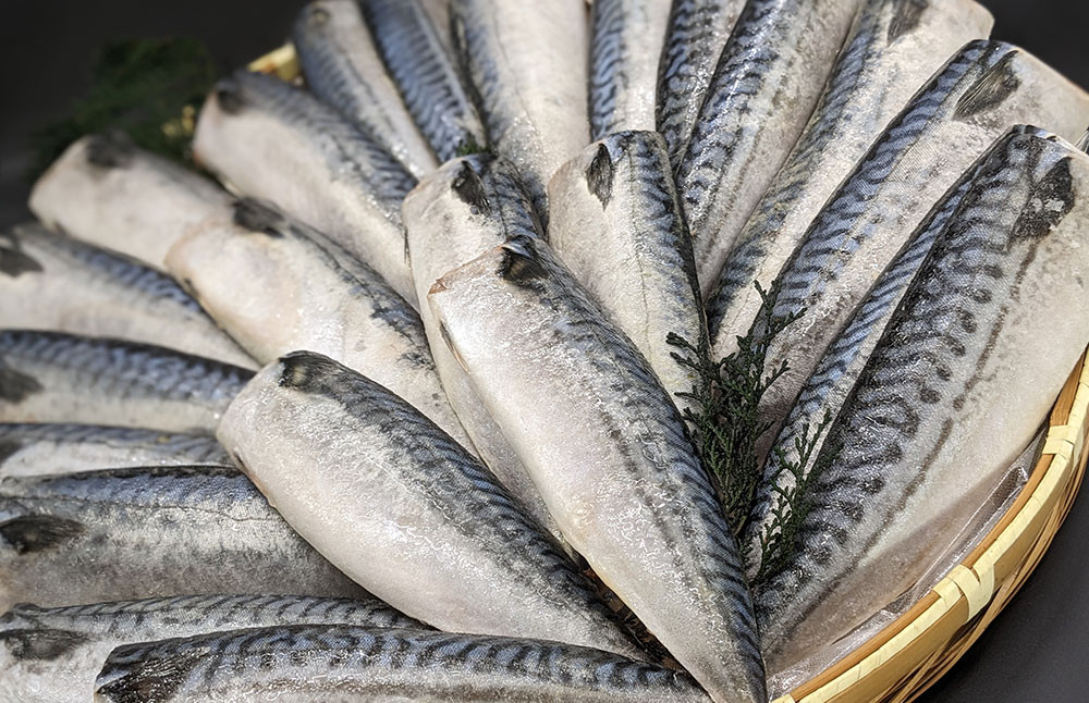
            プロ食材 サバフィーレ 5kg 無塩 無塩鯖 さば サバ 鯖フィーレ 焼魚 煮魚 揚げ 料理 さかな
          