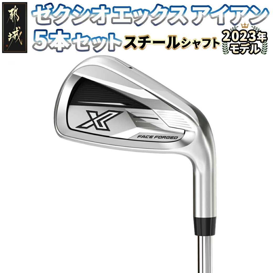 【ふるさと納税】ゼクシオ エックス アイアン 5本セット スチールシャフト ≪2023年モデル≫ - ダンロップ ゼクシオエックス アイアン 5本セット スチールシャフト XXIO-eks- 2023モデル 送料無料 ZX-C704【宮崎県都城市は2年連続ふるさと納税日本一！】