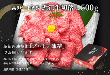 【3月末までに発送】近江牛A5ランク切落し【500g】【DG12SM-3m】