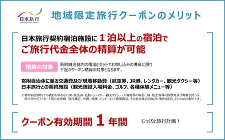 A111　山口市宿泊プランコーディネート券（300000円分）日本旅行 地域限定旅行クーポン