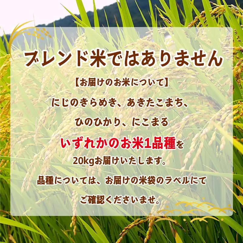 米 精米 松山ふるさと米 令和8年産 20kg 【OCF0081_x】