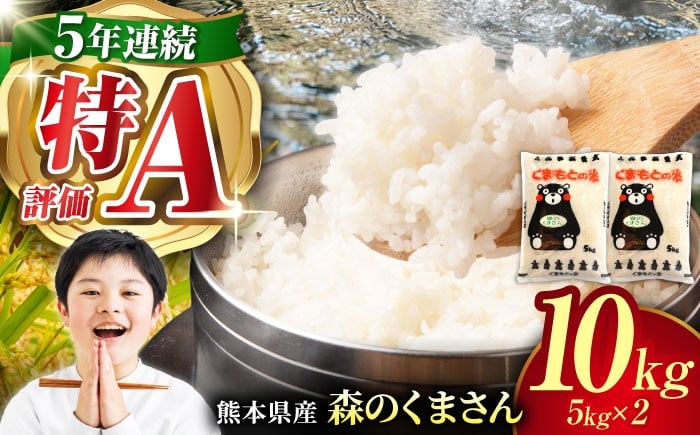 
            〈令和7年度産米〉熊本県産 森のくまさん 白米 10kg (5kg×2) 米 お米 ご飯 はくまい こめ 国産【有限会社 あそしな米穀】 [ZBI034]
          