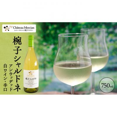 ふるさと納税 上田市 ワイン 飲み比べセット 750ml 2本セット 赤ワイン 白ワイン 赤白セット[54041118] |  | 03