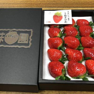 ふるさと納税 さぬき市 【発送月固定定期便】さぬき市極みのフルーツ(化粧箱入り)定期便全3回 |  | 01