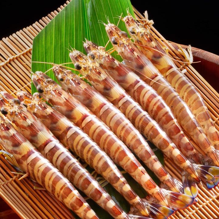 鳴門クルマエビ【350g】2025年8月から翌年1月10日まで発送