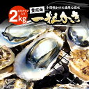 【ふるさと納税】【先行予約】豊前海一粒かき 2kg 【2024年12月or2025年1月以降順次発送】 《豊前市》【豊築漁業協同組合】 牡蠣 カキ かき 牡蛎[VAG013] 13000 13000円