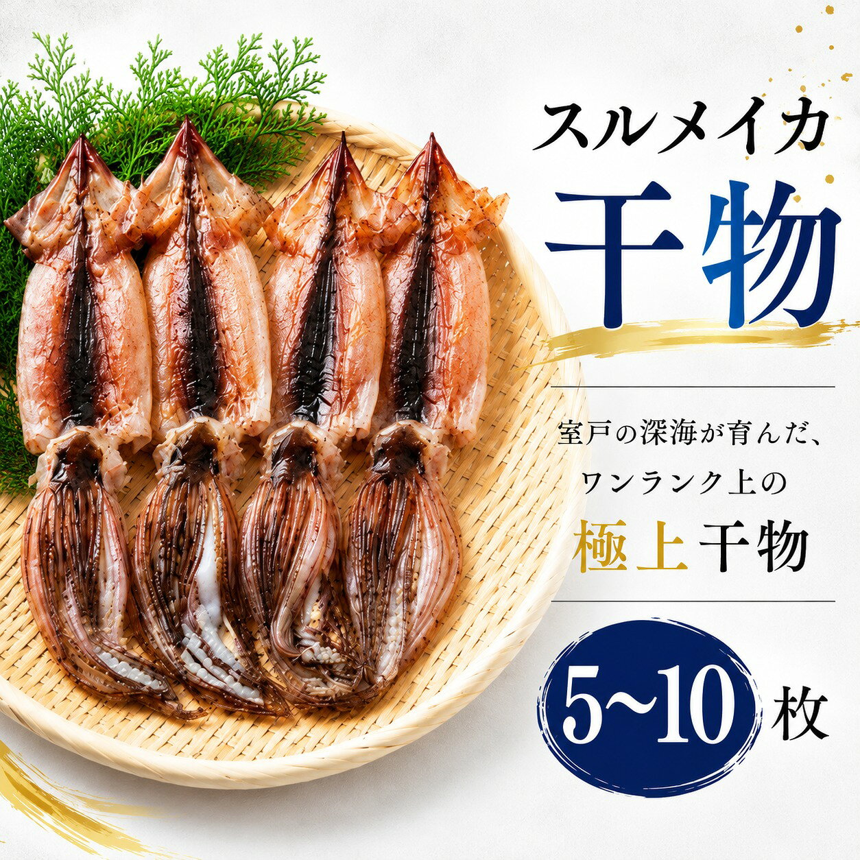 【ふるさと納税】 スルメイカ 干物 5枚 10枚（約500～1200g） 干物 するめいか 干しイカ いか イカ 半日干し 魚介類 海鮮 冷凍 室戸海洋深層水 イカ焼き 炒め物 おかず 惣菜 おつまみ つまみ バーベキュー BBQ キャンプ アウトドア 家庭用 お取り寄せ ギフト 高知県 室戸市