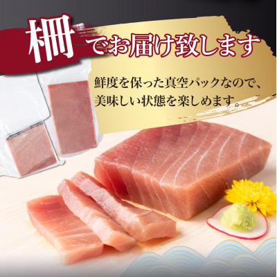 ふるさと納税 室戸市 【 3回定期便 】 天然 マグロ 中トロ 赤身 柵 計1.3kg以上 |  | 02