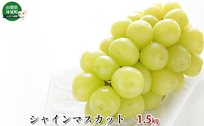 
シャインマスカット約1.5kg[№5530-0308]

