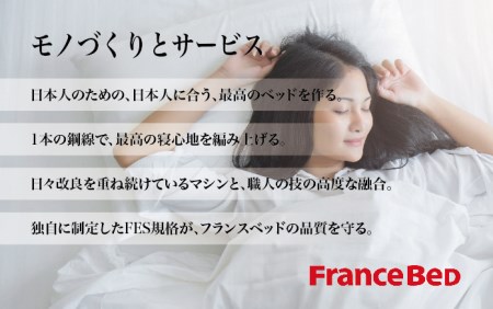 フランスベッド PR70-06C（収納タイプ）シングル【ベッドフレームのみ】I-342