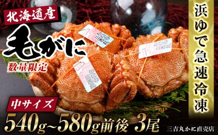 【中サイズ】北海道産 冷凍ボイル毛ガニ (540g-580g前後) 3尾 AS185