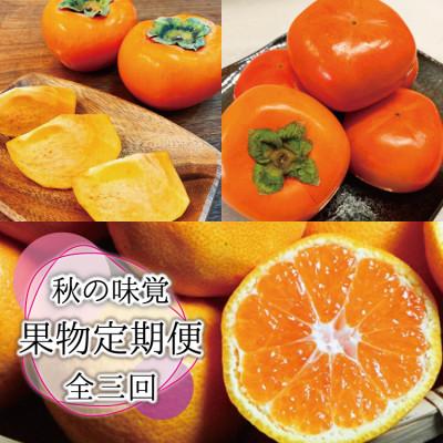 ふるさと納税 北山村 【発送月固定定期便】秋の味覚 果物定期便 柿・みかん　旬のフルーツを毎月お届け【tkb130】全3回