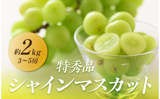 【2025年8月中旬より順次発送】極撰！シャインマスカット　約2kg(3～5房)