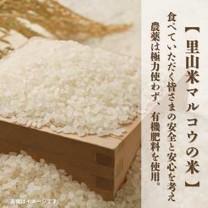 里山米マルコウ　コシヒカリ　5kg　精米 ／ 米 こめ コメ お米 おこめ コシヒカリ こしひかり 令和7年産 新米 白米 精米 ごはん ご飯 5kg 千葉県 匝瑳市 送料無料