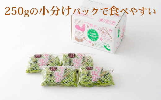 秋田県大館市産「旬の枝豆」1kg　35P3201