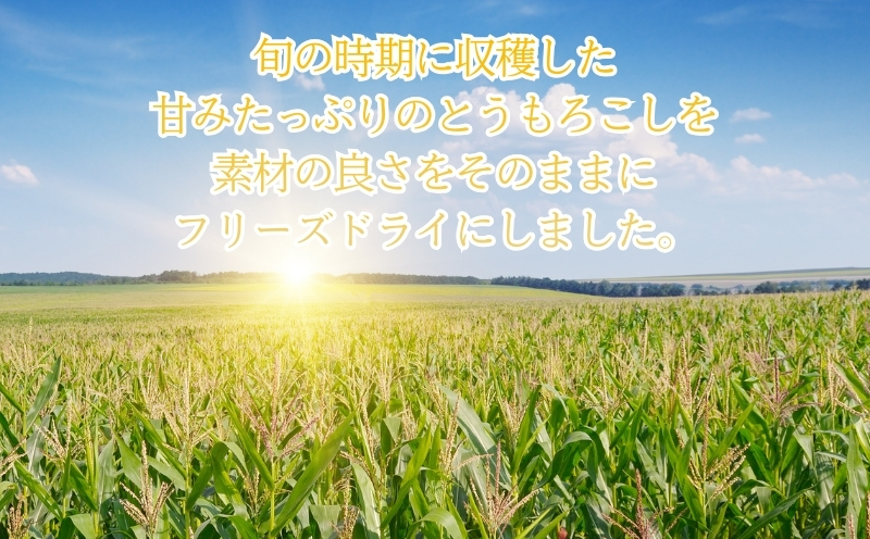 とうもろこしの“まんま”　|　フリーズドライ　トウモロコシ　トッピング　サラダ　備蓄 とうもろこし