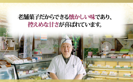 むかわ竜どら焼き 10個入り カムイサウルス ケーキショップおのでら MKWO001