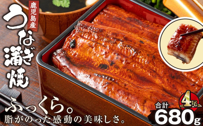
2444 鹿児島産うなぎ170g×4尾 合計680g
