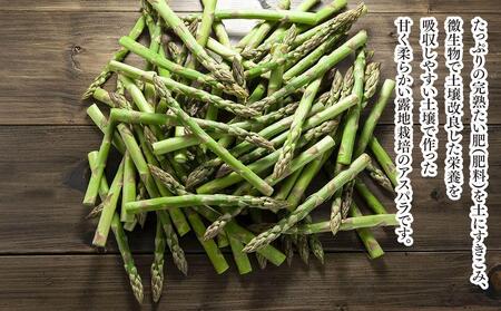 【先行予約】朝採りアスパラ Lサイズ 3kg（500g×6）鮮度保持パック入り 旭川近郊産 露地物(2024年5月中旬発送予定)