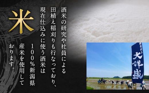 大洋盛 セット SK（720ml 飲み比べ 2本セット）