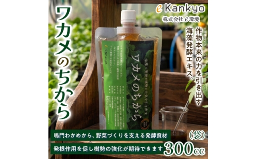 ワカメのちから　300㏄ボトル【1566453】