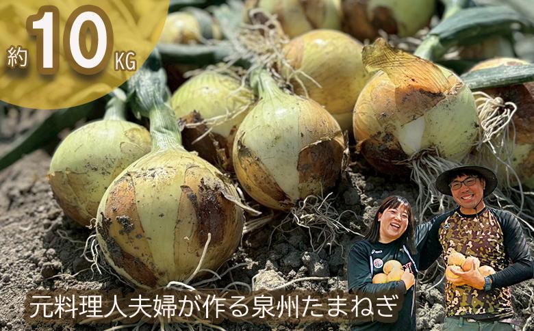 ＜2026年5月中旬順次発送 先行予約＞岸上農園　泉州玉ねぎ　約１０kg（043_5002）