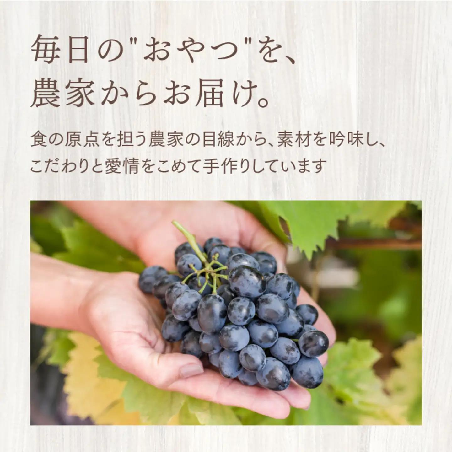 レーズンクッキーサンドとシフォンケーキのセット お菓子 スイーツ