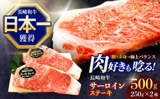 長崎和牛サーロインステーキ 約500g(250g×2枚)【株式会社 黒牛】[OCE045] / さーろいんすてーき ステーキ さーろいん すてーき ステーキ肉 すてーき肉 牛 牛肉 国産 ブランド 和牛 焼肉 焼き肉 BBQ バーベキュー 牛肉 ステーキ すてーき サーロイン さーろいん サーロインステーキ さーろいんすてーき 長崎県 九州