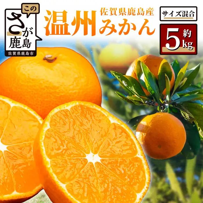 温州みかん 約5kg 佐賀県鹿島産 | 《先行受付11月上旬より発送予定》みかん ミカン 甘い サイズ混合 小玉含む フルーツ 果物 果実 くだもの 蜜柑 柑橘 国産 冬季 大容量 家庭用 贈答 お取り寄せ 佐賀県 鹿島市 A-190